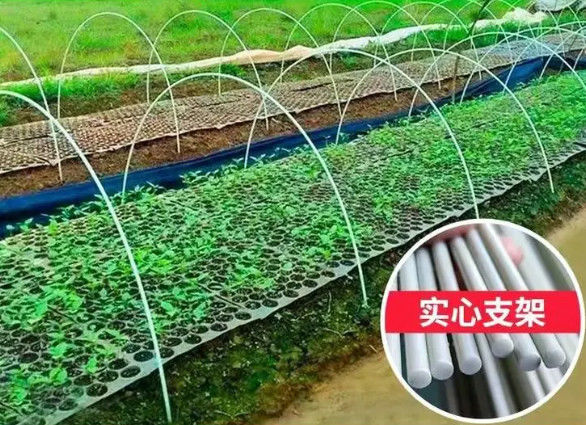 میله های پلاستیکی 10 میلی متری تقویت شده با فیبر میله های فایبر گلاس انعطاف پذیر برای کاشت خانه سبز